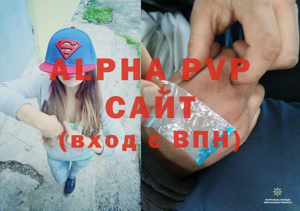 спиды Верея