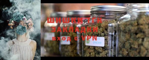 спиды Верея